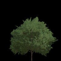 Asset preview